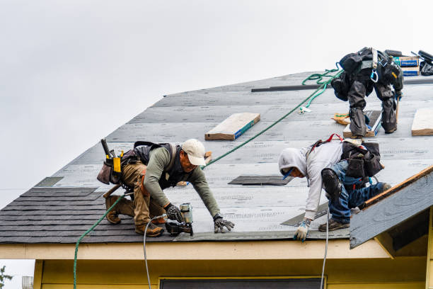 Professional Storm Damage Roof Repair technician working in Belle Center, OH